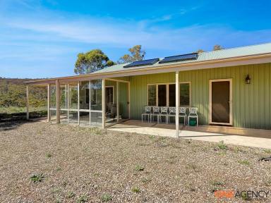 Lifestyle For Sale - NSW - Glen Fergus - 2630 - Escape to Serene Rural Living  (Image 2)