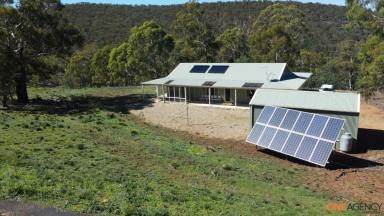 Lifestyle For Sale - NSW - Glen Fergus - 2630 - Escape to Serene Rural Living  (Image 2)