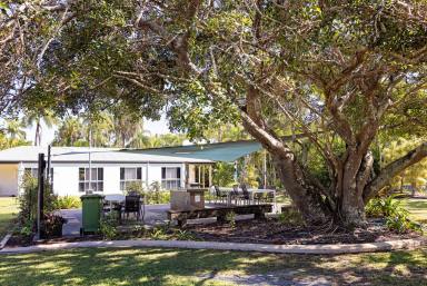 Business For Sale - QLD - Blacks Beach - 4740 - BUSINESS FOR SALE - THE SHORES HOLIDAY APARTMENTS, MACKAY  (Image 2)