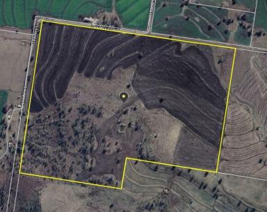 Other (Rural) For Sale - NSW - Inverell - 2360 - 'Wyreema Part' Leaders Lane, DELUNGRA NSW 2403  (Image 2)