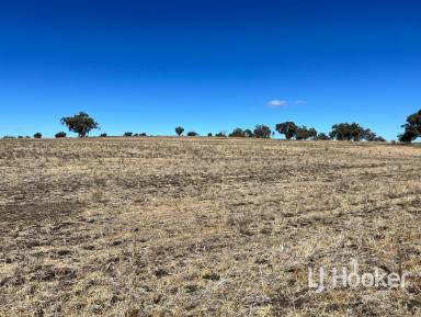 Other (Rural) For Sale - NSW - Inverell - 2360 - 'Wyreema Part' Leaders Lane, DELUNGRA NSW 2403  (Image 2)