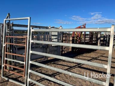 Livestock For Sale - NSW - Inverell - 2360 - 'Merlin' 296 Limestone Road, ASHFORD NSW 2361  (Image 2)