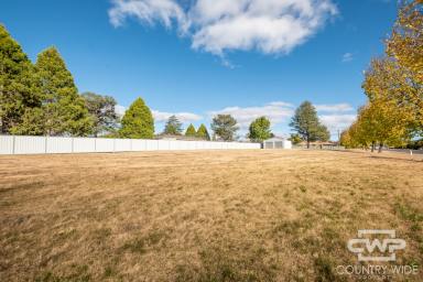 Residential Block For Sale - NSW - Glen Innes - 2370 - Expansive 2000m² Parcel with Dual Frontage  (Image 2)