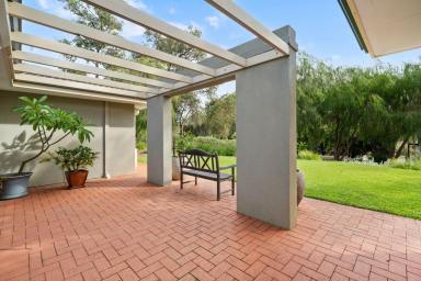 House For Sale - WA - Wellard - 6170 - A RARE BUSHLAND SANCTUARY IN HOMESTEAD RIDGE  (Image 2)