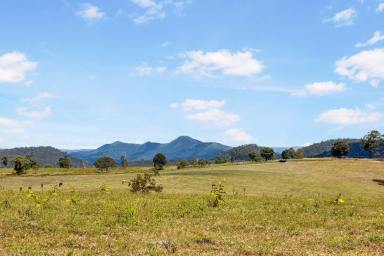 Acreage/Semi-rural For Sale - QLD - Bells Bridge - 4570 - Major 240 Acre Holding Bordering Curra Residential Growth Corridor  (Image 2)