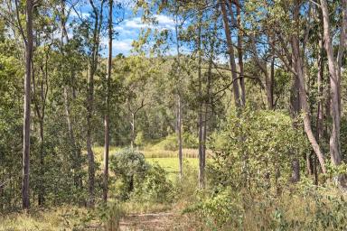 Acreage/Semi-rural For Sale - QLD - Bells Bridge - 4570 - Major 240 Acre Holding Bordering Curra Residential Growth Corridor  (Image 2)