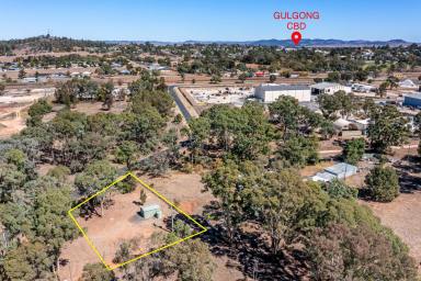 Residential Block For Sale - NSW - Gulgong - 2852 - BLANK CANVAS READY TO GO  (Image 2)