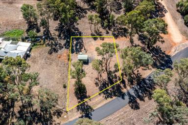 Residential Block For Sale - NSW - Gulgong - 2852 - BLANK CANVAS READY TO GO  (Image 2)