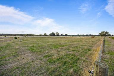 Residential Block For Sale - VIC - Snake Valley - 3351 - Build Your Dream Lifestyle on 5 Acres of Peaceful Countryside  (Image 2)