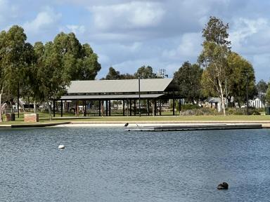 House For Sale - WA - South Yunderup - 6208 - BRAND SPANKING NEW !!  (Image 2)