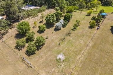 House For Lease - QLD - Bella Creek - 4570 - Peaceful Country Living in Beautiful Bella Creek  (Image 2)