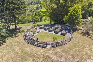 House For Lease - QLD - Bella Creek - 4570 - Peaceful Country Living in Beautiful Bella Creek  (Image 2)