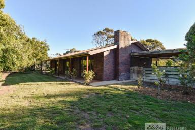 House For Sale - SA - Millicent - 5280 - Lifestyle Living – Perfect for Horse Enthusiasts  (Image 2)