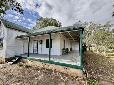 House For Lease - NSW - Dobies Bight - 2470 - Three Bedroom Farm House  (Image 2)