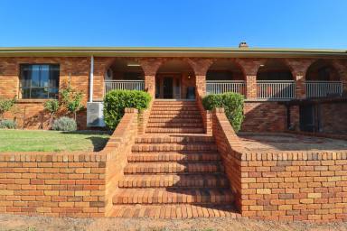 Lifestyle For Sale - NSW - Grenfell - 2810 - Rural lifestyle, large family home, residential flat & development potential  (Image 2)