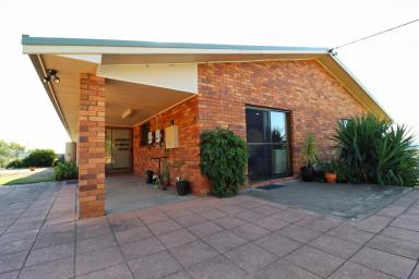 Lifestyle For Sale - NSW - Grenfell - 2810 - Rural lifestyle, large family home, residential flat & development potential  (Image 2)