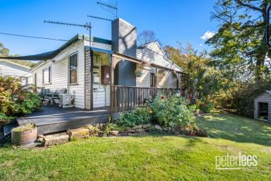 House For Sale - TAS - Lebrina - 7254 - A Home Unlike Any Other  (Image 2)