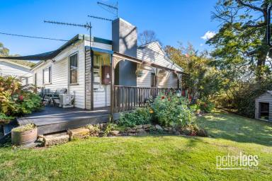 House For Sale - TAS - Lebrina - 7254 - A Home Unlike Any Other (Image 2)