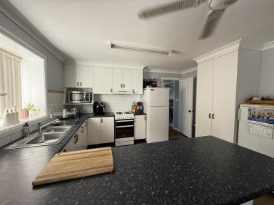 House For Sale - NSW - Young - 2594 - Industrial & Lifestyle  (Image 2)