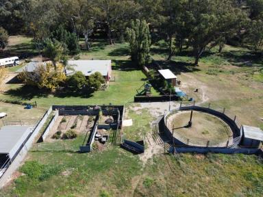 House For Sale - NSW - Young - 2594 - Industrial & Lifestyle  (Image 2)