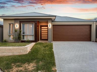 House For Sale - WA - Beeliar - 6164 - Beeliar Brilliance  (Image 2)