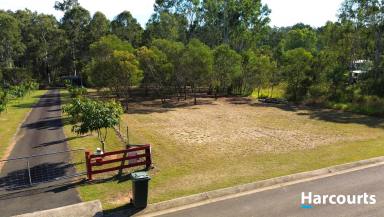Residential Block For Sale - QLD - Apple Tree Creek - 4660 - READY TO BUILD 1/2ac BLOCK WITH SOIL TEST ALREADY DONE  (Image 2)