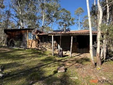 Residential Block For Sale - NSW - Glen Allen - 2631 - Welcome to" GIRDERSHADE"  Your Bush escape on the River  (Image 2)