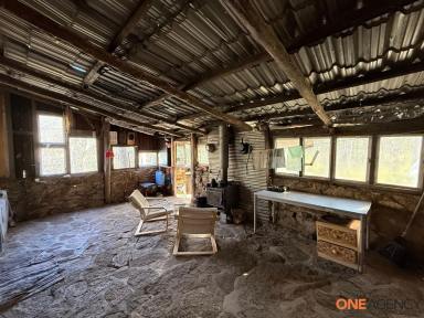 Residential Block For Sale - NSW - Glen Allen - 2631 - Welcome to" GIRDERSHADE"  Your Bush escape on the River  (Image 2)