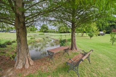 House For Sale - NSW - Stroud - 2425 - A Beautiful Landscape Setting | Private botanical-style retreat  (Image 2)