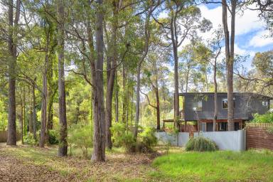 House For Sale - WA - Margaret River - 6285 - Live on holiday  (Image 2)