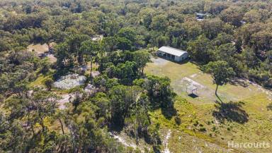 House For Sale - QLD - Takura - 4655 - Peaceful Country Retreat with Space, Comfort & Lifestyle Appeal  (Image 2)