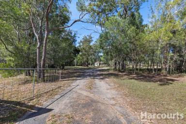 House For Sale - QLD - Takura - 4655 - Peaceful Country Retreat with Space, Comfort & Lifestyle Appeal  (Image 2)