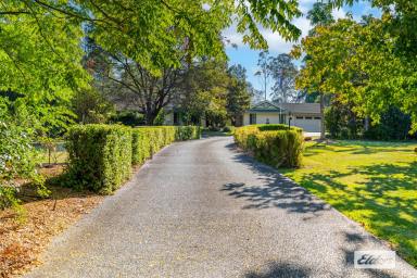 House For Sale - NSW - Taree - 2430 - Resort Style Living Meets Country Privacy  (Image 2)