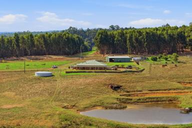 House For Sale - WA - Nannup - 6275 - A Carlotta Masterpiece  (Image 2)