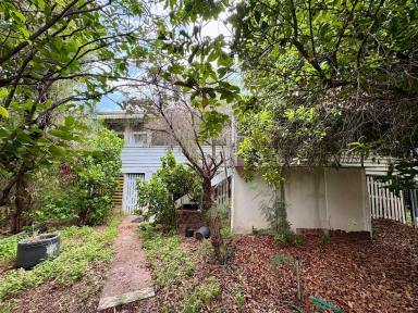 House For Sale - QLD - Rockhampton City - 4700 - Position, Potential & Opportunity in the Heart of Rockhampton  (Image 2)