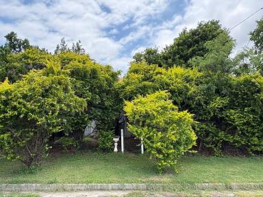 House For Sale - QLD - Rockhampton City - 4700 - Position, Potential & Opportunity in the Heart of Rockhampton  (Image 2)