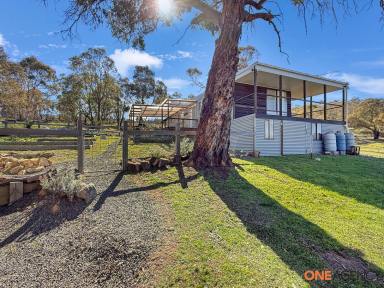 Lifestyle For Sale - NSW - Shannons Flat - 2630 - Serenity on the Murrumbidgee  (Image 2)