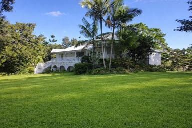 House For Sale - QLD - Black Mountain - 4563 - Refined Queenslander Retreat in the Heart of the Noosa Hinterland  (Image 2)