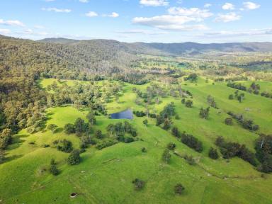 Livestock For Sale - NSW - Greendale - 2550 - 280 ACRES WITH SOMETHING SPECIAL.  (Image 2)