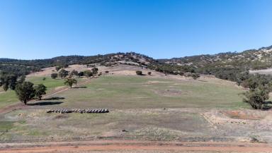Other (Rural) For Sale - WA - Toodyay - 6566 - NORTH FACING VIEWS  (Image 2)