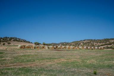 Other (Rural) For Sale - WA - Toodyay - 6566 - NORTH FACING VIEWS  (Image 2)