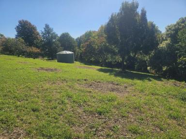 Residential Block For Sale - VIC - Bairnsdale - 3875 - PICNIC POINT - WEST BAIRNSDALE BLOCK  (Image 2)