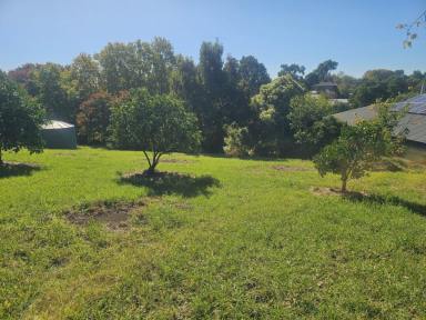 Residential Block For Sale - VIC - Bairnsdale - 3875 - PICNIC POINT - WEST BAIRNSDALE BLOCK  (Image 2)
