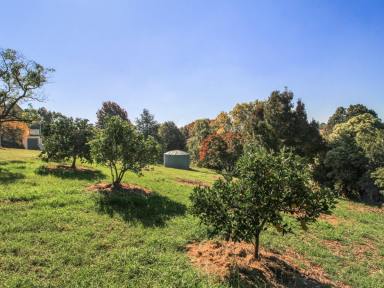 Residential Block For Sale - VIC - Bairnsdale - 3875 - PICNIC POINT – WEST BAIRNSDALE BLOCK  (Image 2)