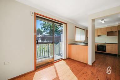 House For Sale - NSW - Singleton - 2330 - Perfect First Home in Convenient Location  (Image 2)