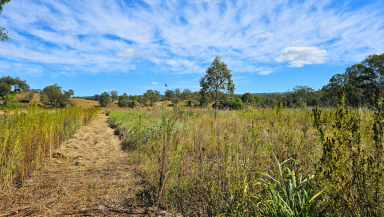 Residential Block For Sale - QLD - Mount Perry - 4671 - Lifestyle Acreage on the Edge of Mount Perry  (Image 2)