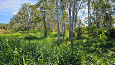 Residential Block For Sale - QLD - Mount Perry - 4671 - Lifestyle Acreage on the Edge of Mount Perry  (Image 2)