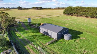 Livestock For Sale - VIC - Winslow - 3281 - Productive highly improved outpaddock or lifestyle opportunity!  (Image 2)