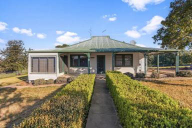 Mixed Farming Auction - NSW - Mangoplah - 2652 - Turn key add on or starter  (Image 2)