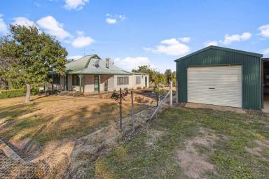 Mixed Farming Auction - NSW - Mangoplah - 2652 - Turn key add on or starter  (Image 2)